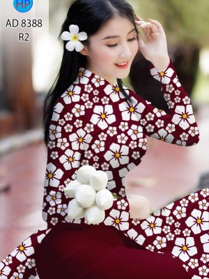 1607738332 597 vai ao dai dep (2)